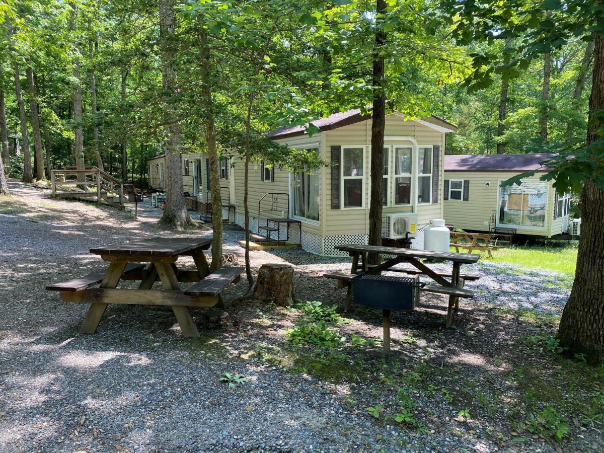 The Vintage Rv'S At Wilderness Presidential Camp Resort By Tripforth Spotsylvania Εξωτερικό φωτογραφία
