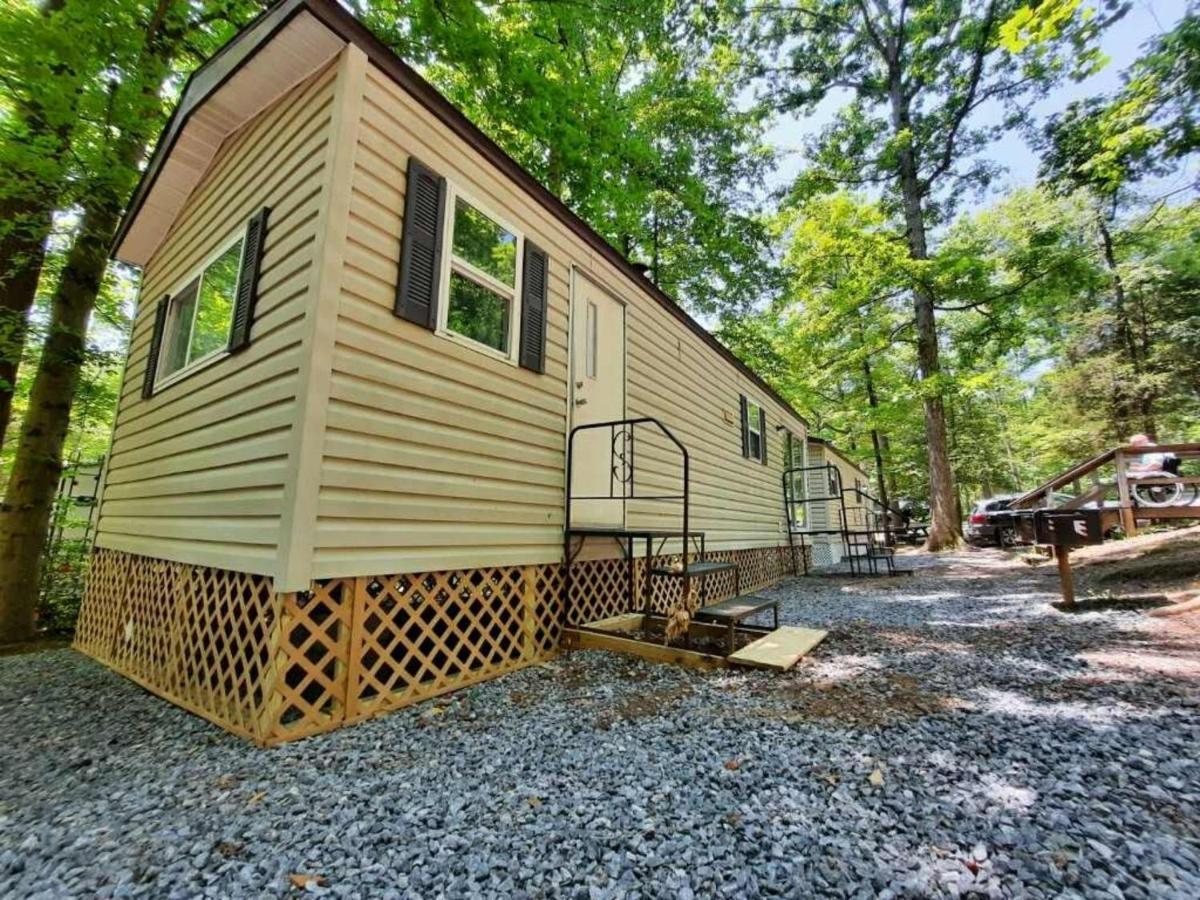 The Vintage Rv'S At Wilderness Presidential Camp Resort By Tripforth Spotsylvania Εξωτερικό φωτογραφία