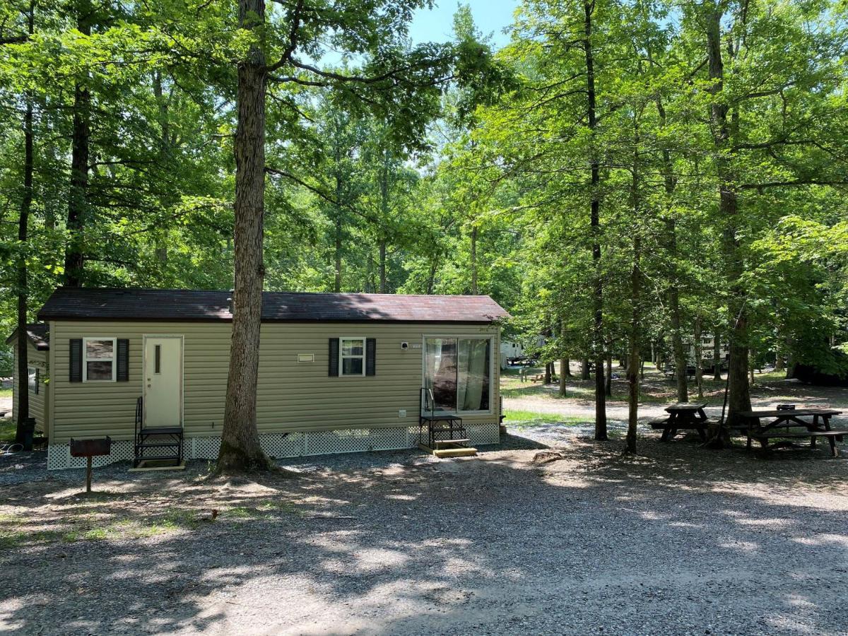 The Vintage Rv'S At Wilderness Presidential Camp Resort By Tripforth Spotsylvania Εξωτερικό φωτογραφία